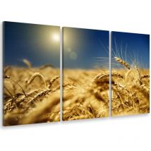 Tableau triptyque deco champs de blé couchant - 90x60 cm