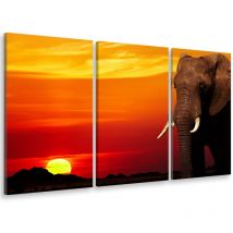 Hxadeco - Tableau triptyque deco eléphant et ivoire au coucher du soleil - 90x60 cm