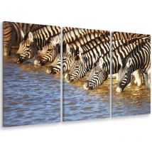 Hxadeco - Tableau triptyque deco zebres se desalterant - 90x60 cm