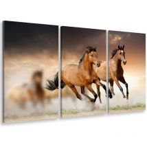Hxadeco - Tableau triptyque Tableau photo chevaux en plein galop - 90x60 cm