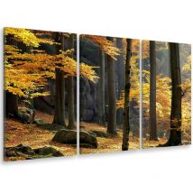 Tableau triptyque Tableau photo fontainebleau en automne - 90x60 cm