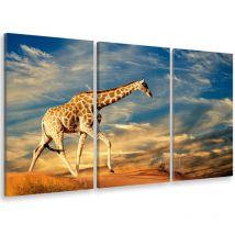 Tableau triptyque Tableau photo girafe dans le sable - 90x60 cm