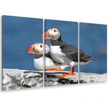 Hxadeco - Tableau triptyque Tableau photo macareux sur l'ile aux moines - 90x60 cm