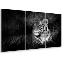 Hxadeco - Tableau triptyque Tableau photo tigre au repos - 90x60 cm