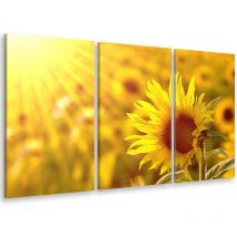 Tableau triptyque Tableau photo tournesol dans la lumière - 90x60 cm