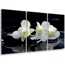 Tableau triptyque Tableau photo zen orchidées et galets - 90x60 cm