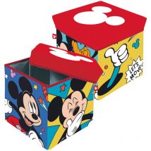 Tabouret de rangement cube- Disney Mickey