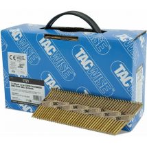 1721 Chiodi Inclinati a 34° 3,1/65 mm, Zincati Extra con Testa a 'd', Gambo Anellato, Fascicolati con Carta, Confezione da 1600, Argento - Tacwise