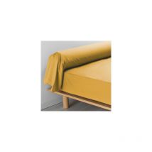 Taie De Traversin 85x185 cm Percale Jaune miel homeflair