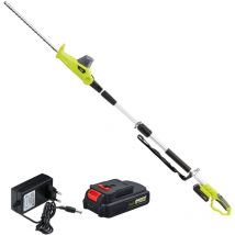 Dewinner - Taille-Haies sur Perche sans Fil téléscopique Electrique Pole 20V 2.0Ah, (Longueur: 45cm, Capacité: 16mm), avec 1 Batterie Chargeur, Pole