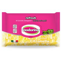 Citronella Toodorin Wischen 40 Einheiten Ab