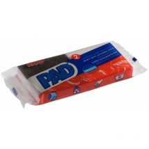 PAD - Tampons Recurants X2