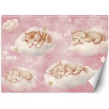 Tapete Für Jungen Katzen In Den Wolken Rosa 100x70 Cm