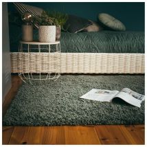 Deladeco - Tapis à poils longs uni moderne Bingo Jade 80x150