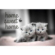 Tapis anti-poussière Sweetie 40x60cm