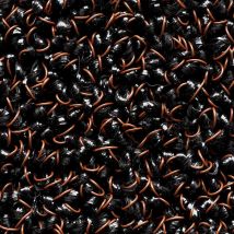 BTB - Tapis antipoussière extérieur intérieur Capture brosse polyamide semelle pvc sans phtalate coloris marron 1mx20m