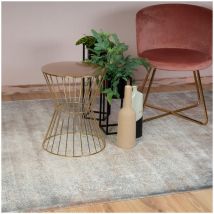 Deladeco - Tapis de salon vintage naturel Infinite Taupe 160x230