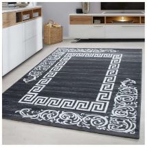 Allotapis - Tapis baroque pour salon en polypropylène Aftas Gris 160x230