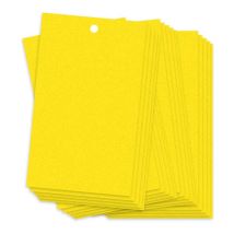 Pièges collants pour insectes volants des plantes, moucherons fongiques, 20 pièces, 20 x 10 cm, pièges à insectes volants double face pouvant être