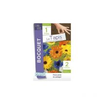 Tapis de Graines Bocquet Flore-Amie du potager - 15g