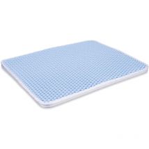 Tapis de litière pour chat Well Home Doormat 60x45cm - Antidérapant et facile à nettoyer