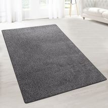 Tapis de couloir Lyon Gris tacheté 66 x 250 cm