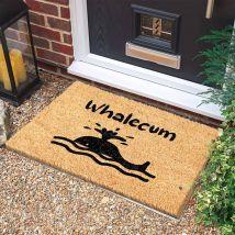 Feiyue - Tapis de porte d'entrée à motif de poisson intéressant, tapis absorbant l'eau en polyester, tapis de porte de salle de bain antidérapant en