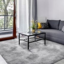 Tapis de Salon Shaggy Lavable, Carpet Moderne Antidérapant Intérieur Longs Moelleux Tapis, Longues Soft Tapis Grand Tapis pour Salon Chambre Couloir,