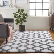 DPZO Tapis de Salon Shaggy Lavable, Carpet Moderne Antidérapant Intérieur Longs Moelleux Tapis, Longues Soft Tapis Grand Tapis pour Salon Chambre 