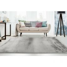 Allotapis - Tapis de salon très doux rectangulaire Eternity Argenté 120x170