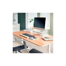 Tapis de souris Leitz Ergo avec repose-poignet réglable - gris clair