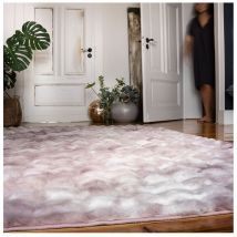 Deladeco - Tapis doux à poils longs moderne relief Sweety Rose 120x170