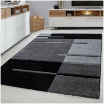 Allotapis - Tapis effet 3D design pour salon rectangle Nils Gris 120x170