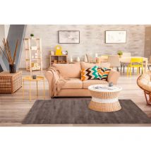 Allotapis - Tapis en polypropylène doux uni Oslo Marron 120x170