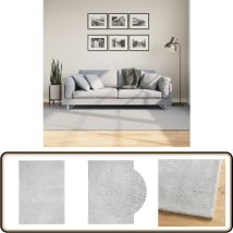 Tapis HUARTE à poils courts doux et lavable gris 160x230 cm - Tapis Salon - Tapis Chambre - Tapis Décoratif - Tapis Doux - Tapis Antidérapant