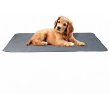 Tapis imperméable et antidérapant pour animaux de compagnie Tapis d'entraînement anti-encrassement et facile à nettoyer