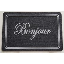 Novotex - Tapis Grattant Intérieur Extérieur Lis Bonjour 40x60cm