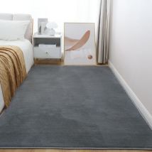 Jn.songs - Tapis Moelleux à Poils Courts Tapis Salon Dessous Antidérapant pour Chambre Bureau Couloir Gris Foncé - 160x230CM