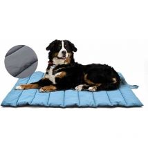 Tapis pour Chien Grand Chien lit Lavable pour Chien, Oreiller Chien Antistatique, hygiénique, Pliable, Grande Couverture de Voyage pour Chat Animaux
