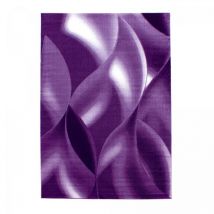 Jadorel - Tapis salon et chambre 160x230 violet clair et violet foncé tissé
