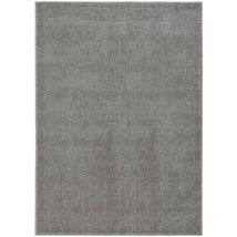 Le Poisson Qui Jardine - Tapis Salon Poils Courts. Gris. 120 x 170. Design, Chaud & Confortable - Gris