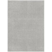 Le Poisson Qui Jardine - Tapis Salon Poils Courts. Gris Clair. 160 x 230. Design, Chaud & Confortable - Gris Clair