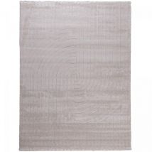 Tapis salon ton sur ton 160x220 ayan Beige