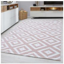 Allotapis - Tapis scandinave de salon rectangle Adza Rose 160x230