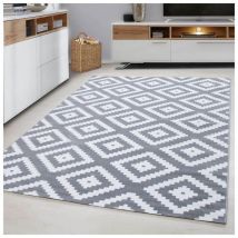 Allotapis - Tapis scandinave de salon rectangle Adza Gris 160x230