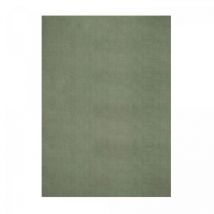 Unamourdetapis - Tapis lavable 30°C 140x200 Vert, tapis shaggy uni à longs poils