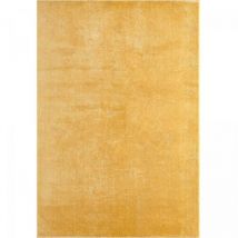 Unamourdetapis - Tapis lavable 30°C 160x220 Or, tapis shaggy uni à longs poils