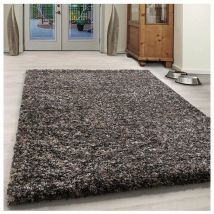 Allotapis - Tapis shaggy rectangle bicolore moderne Benno Taupe 80x150