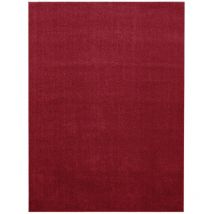 Minimal - Tapis uni de Salon Chambre Relax Sobre et Epuré (Rouge - 60x100cm)