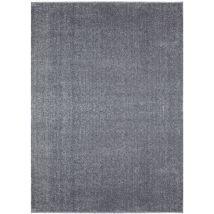Minimal - Tapis Uni De Salon Chambre Relax Sobre Et Epuré (anthracite - 200x290cm)